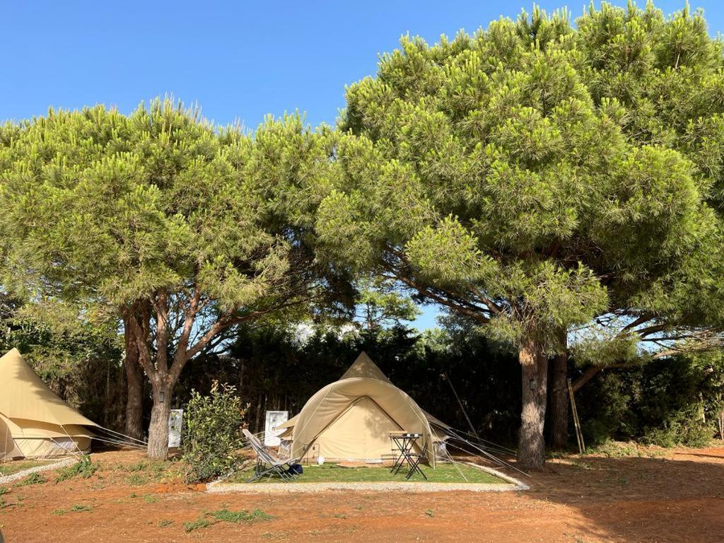 Glamping La Mimosa Conil Hotel Conil De La Frontera Exterior photo