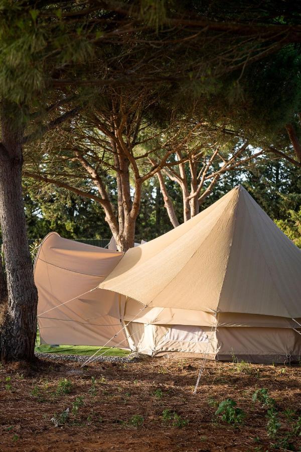 Glamping La Mimosa Conil Hotel Conil De La Frontera Exterior photo